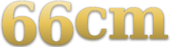 66cm logo